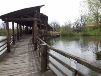 /album/fotogalerie-zoo-ohrada-hluboka-nad-vltavou/zoo-ohrada-hluboka-nad-vltavou11-jpg/
